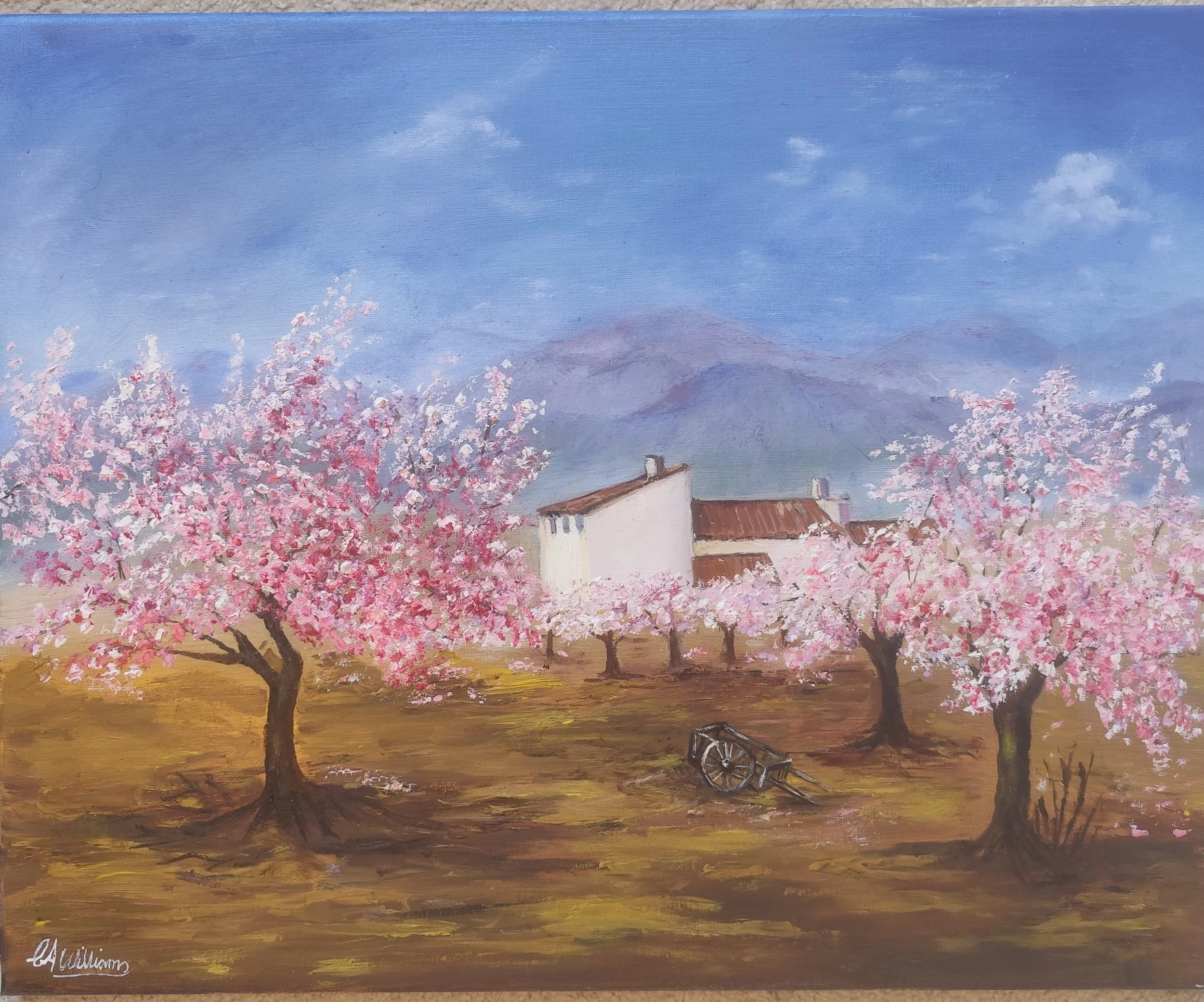 Blossom Trees.jpg