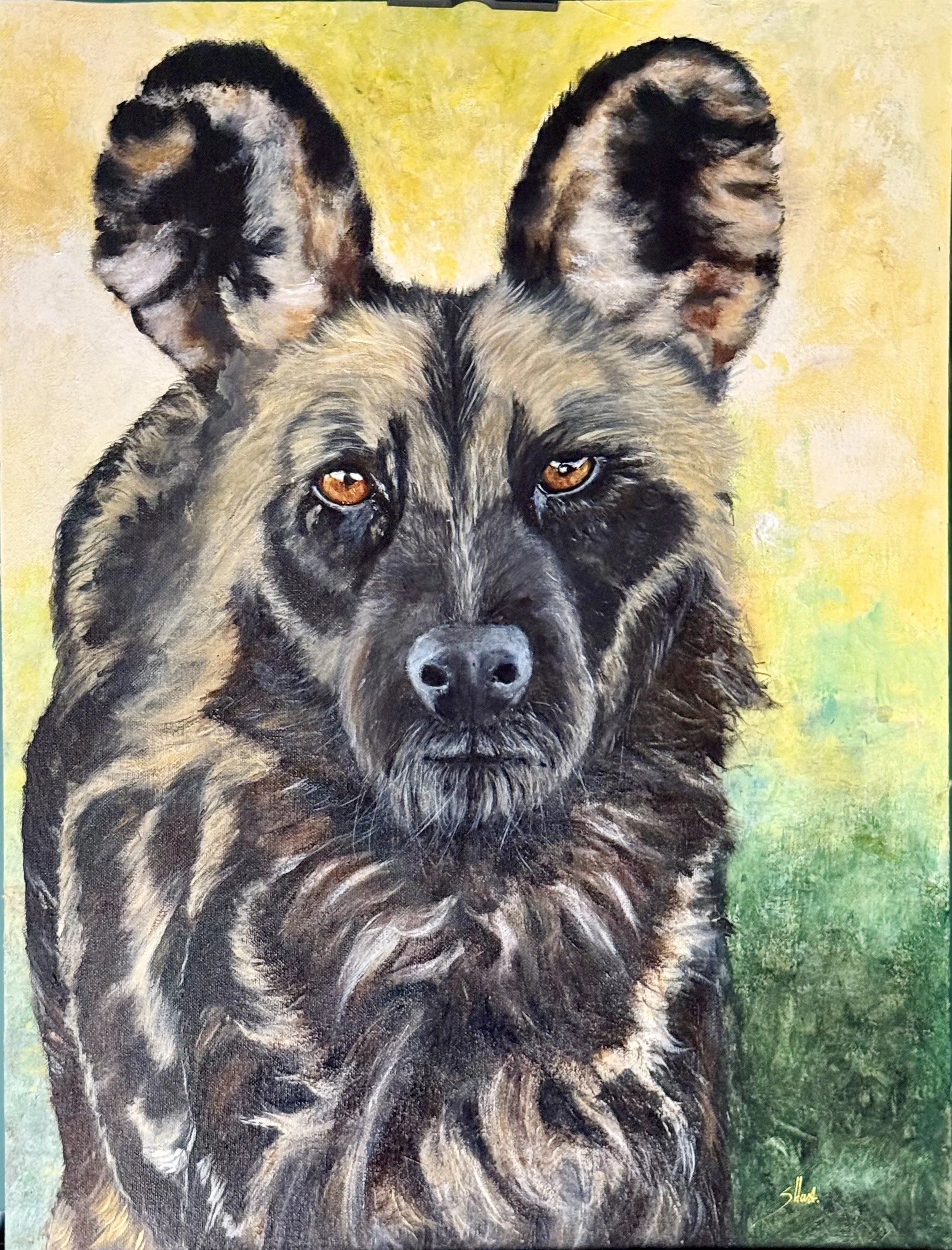 african painted dog.jpeg