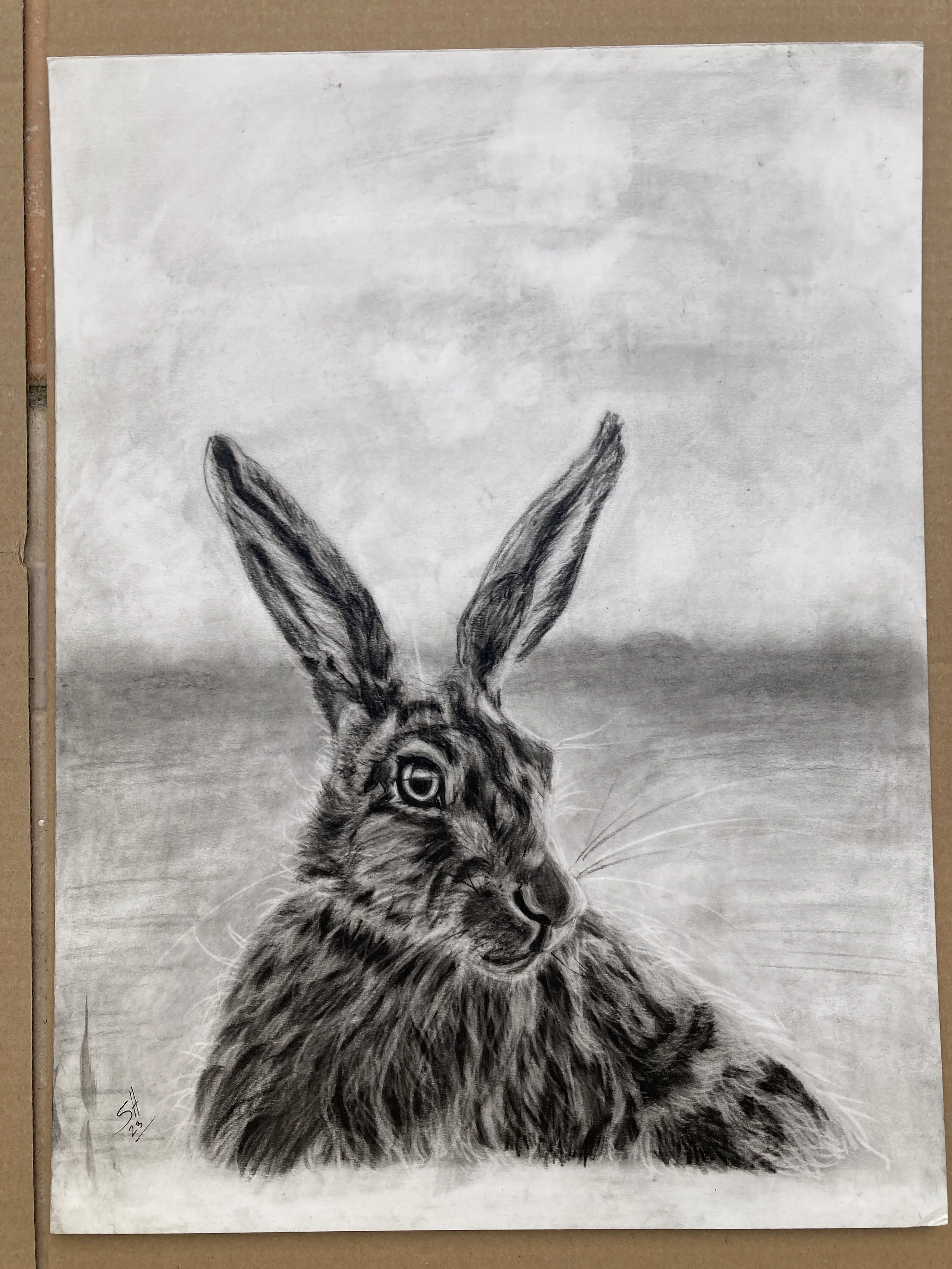 CHARCOAL HARE.JPG