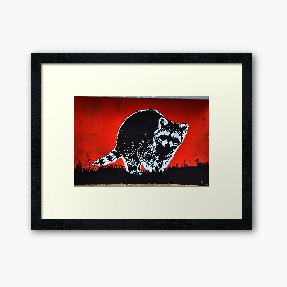 Raccoon by Pipsqueak.jpg