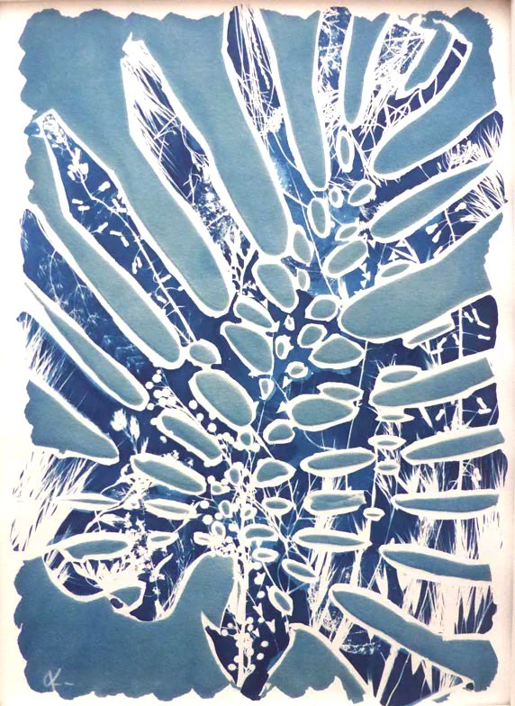 Monstera Deliciosa III