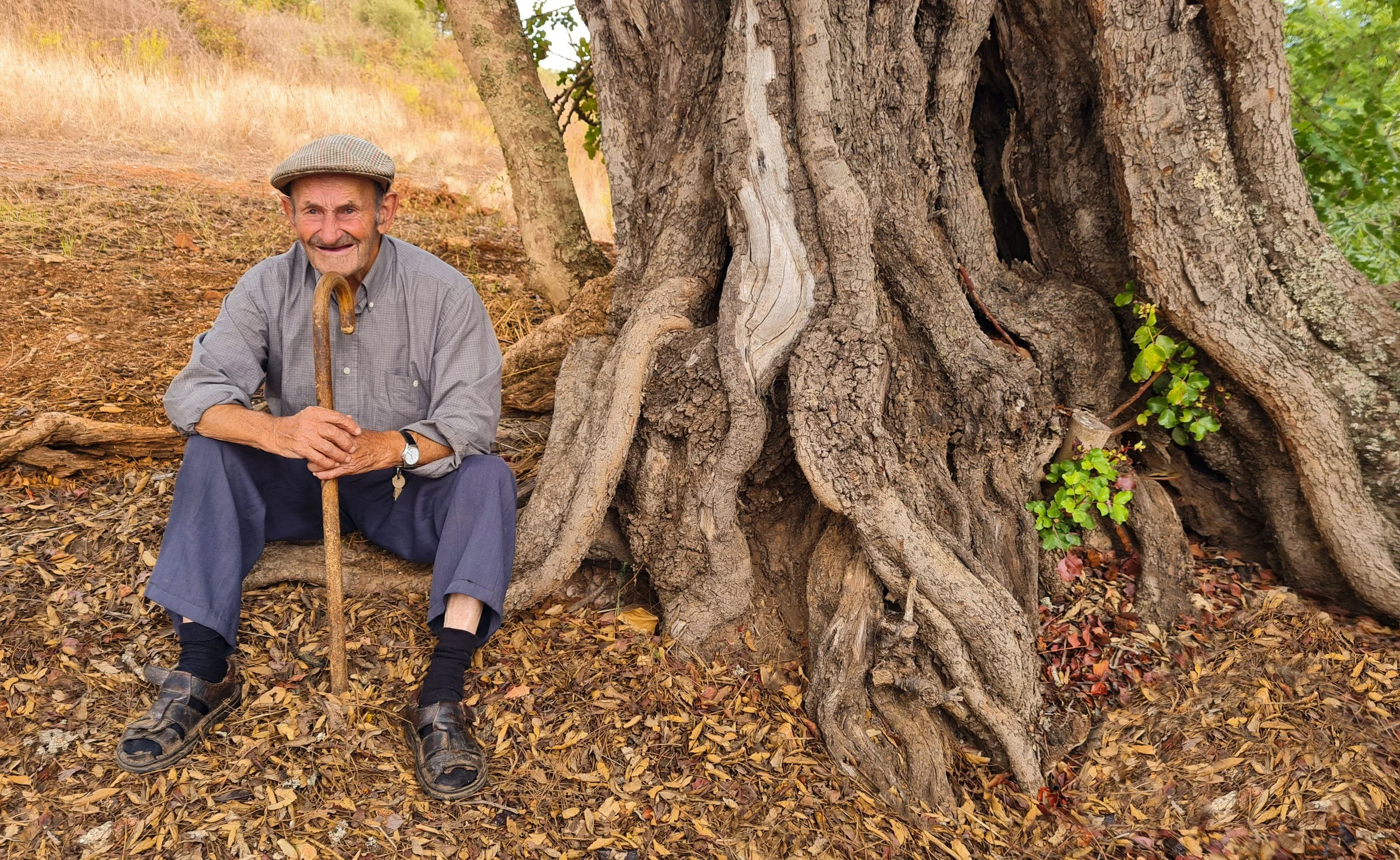 Manuel under Carob.jpg