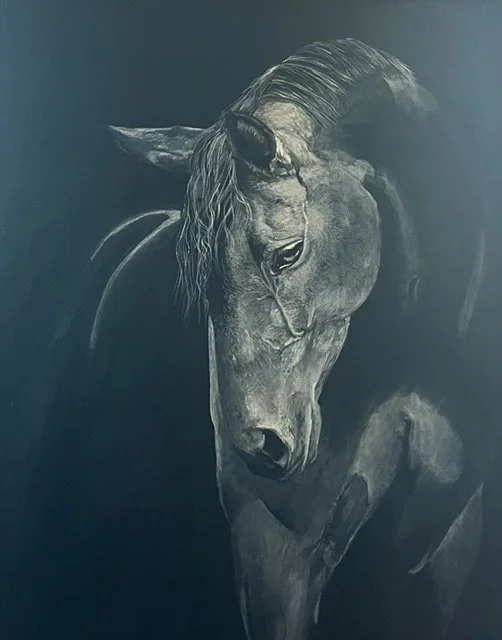 Black horse
