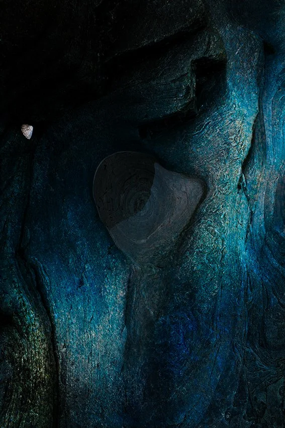 The 4 Elements - Water #1