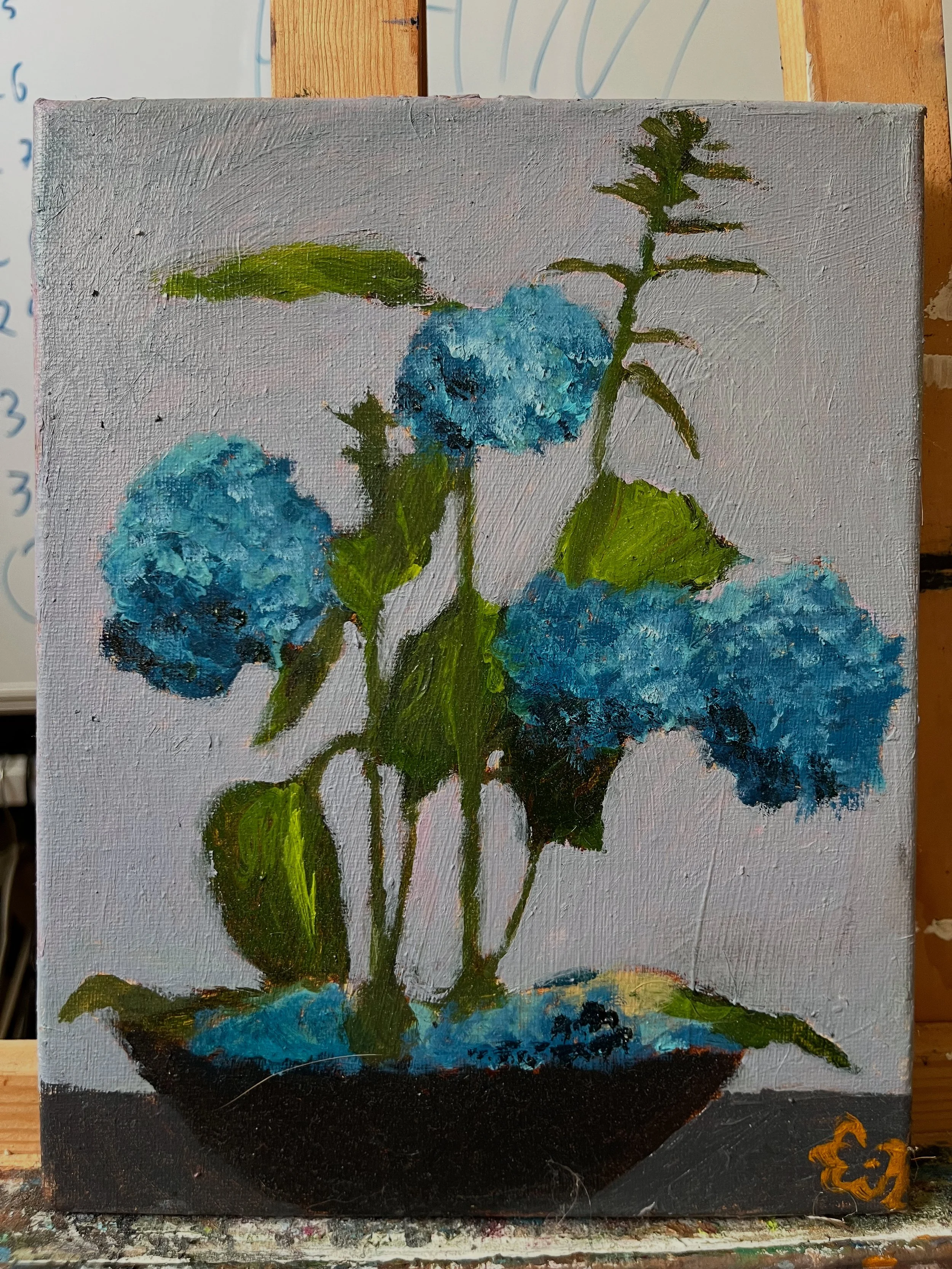 Blue Hydrangea