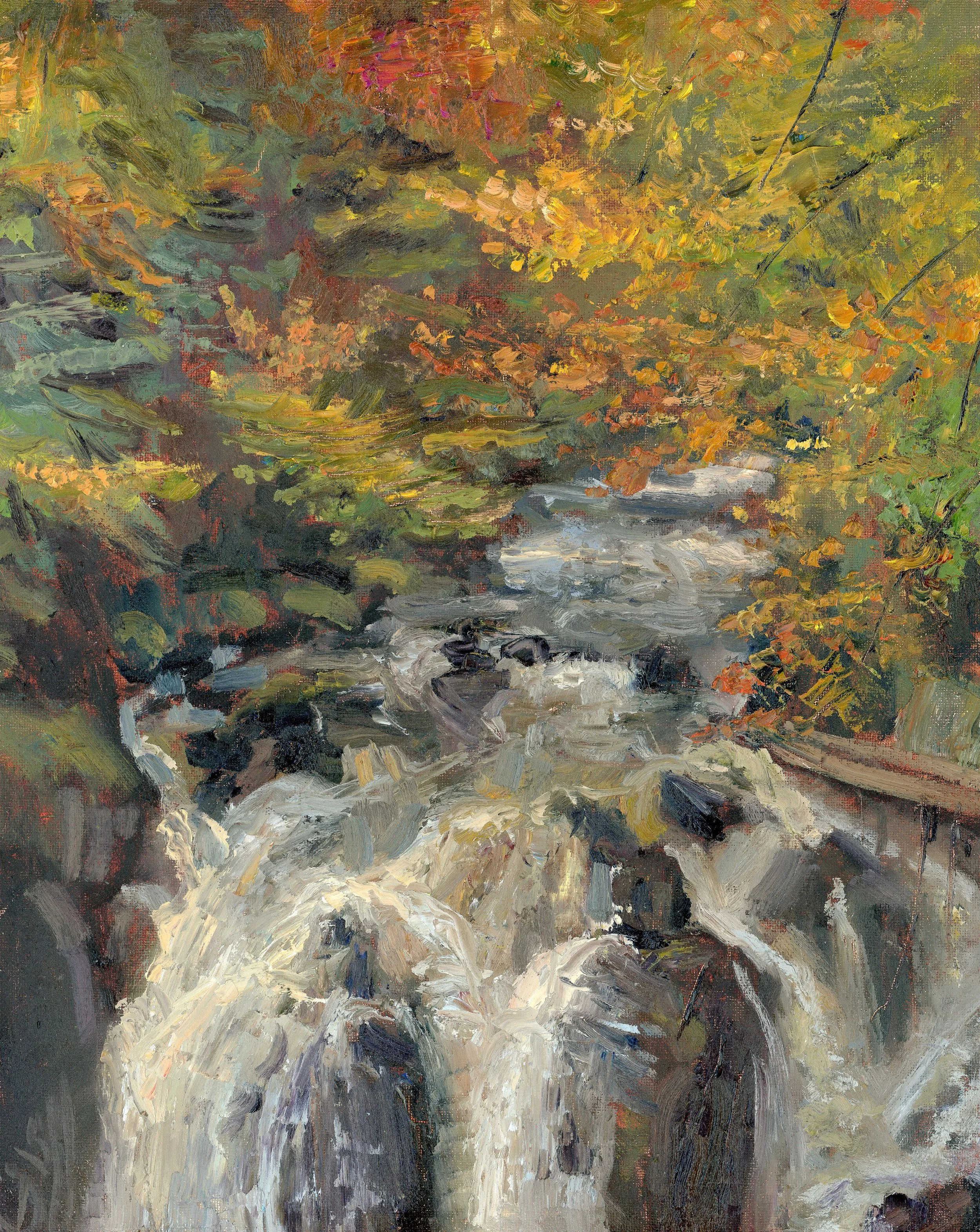 Black Linn Falls, oil on board, 30 × 24 cm