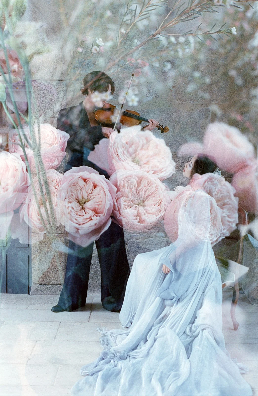 Une femme avec une robe blanche longue, assise, regardant un homme jouant du violon dans une scène artistique avec des fleurs roses en arrière-plan.