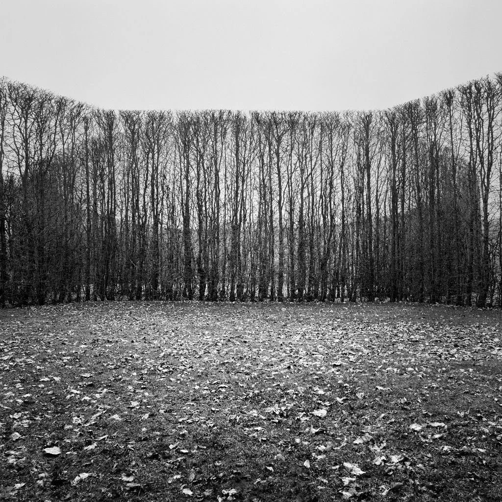 Geometric Garden,&rsquo; (1953) by Carl Theodore S&oslash;rensen, Danish landscape architect

The precise geometries of hornbeam hedges, 8m high, in a forest clearing in Denmark. 

The black and white photographs, by Christina Capetillo, were publish
