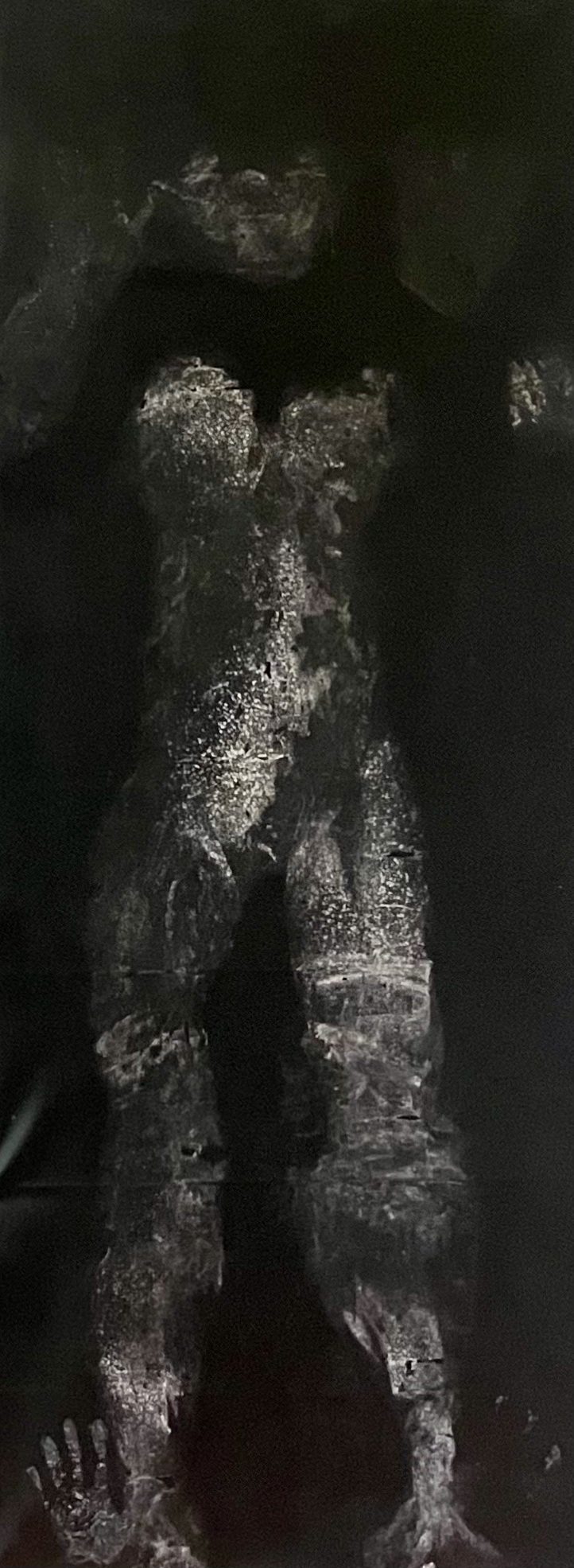 Night Skin #3. Glue and talcum powder on faux leather. 27.5 x 72 inches. 2025.