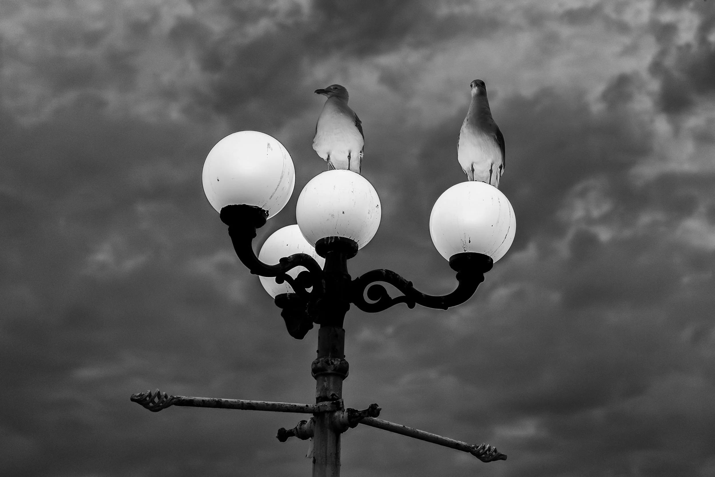liban-elmi-pier-06.jpg