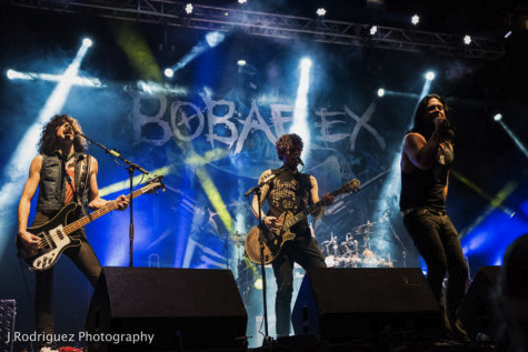 Bobaflex_1.png