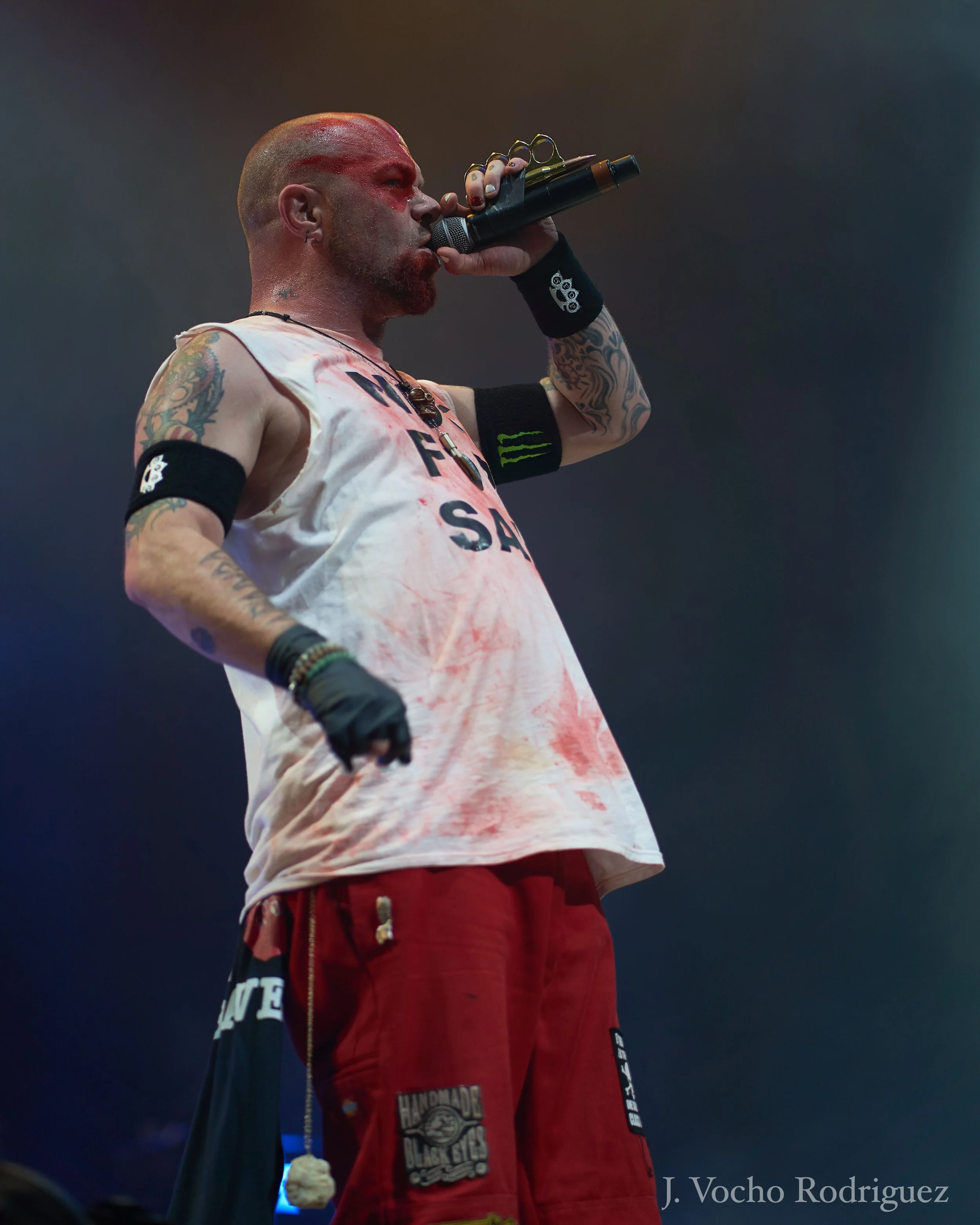 DSC02940.jpg
