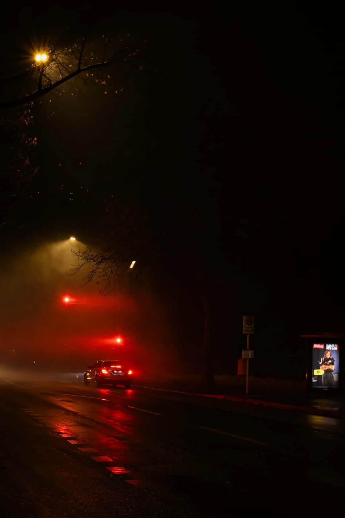 New_year_night_1 (1).jpg