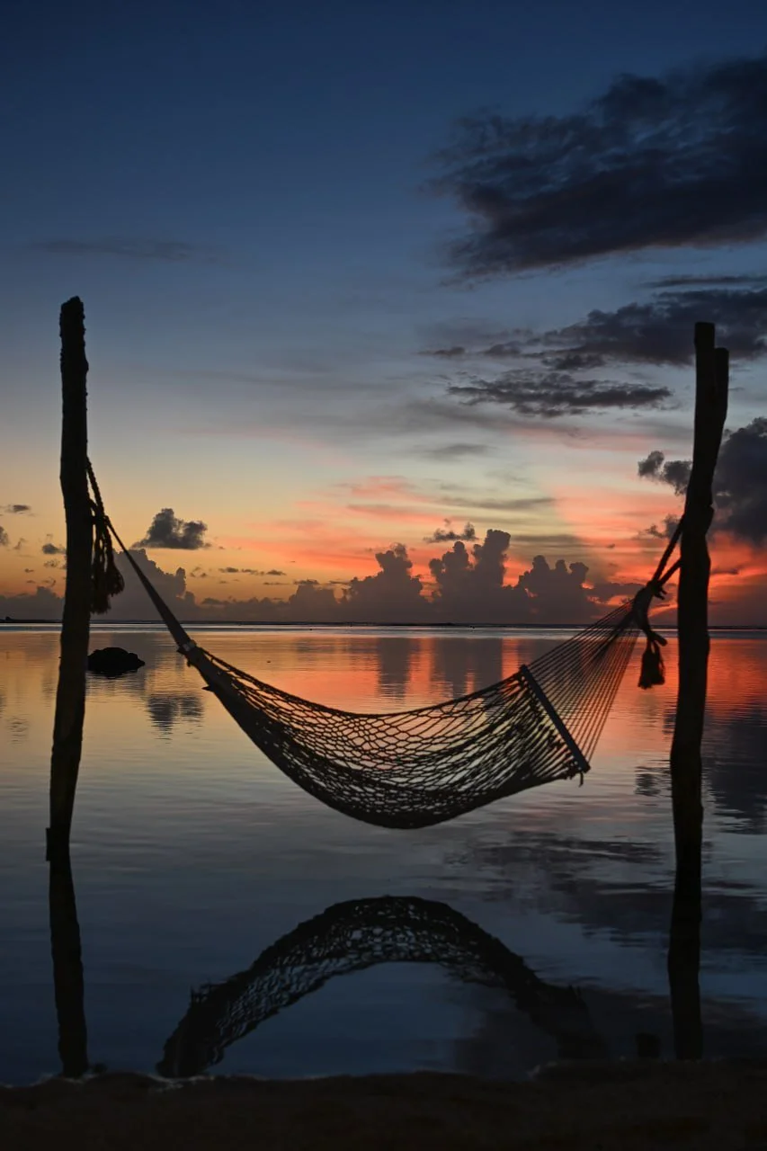 photo_2026-03-23_22-14-16 (2).jpg