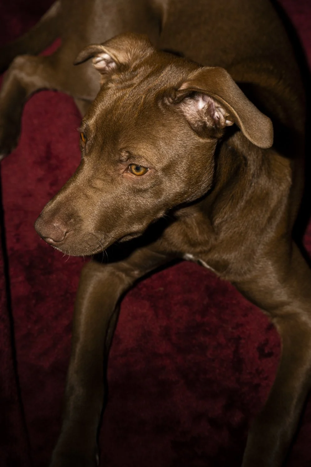 website images-8.jpg