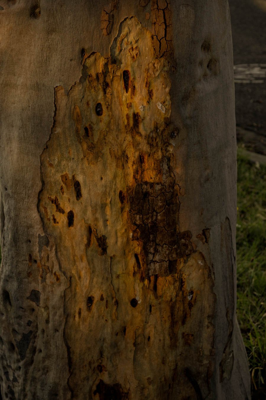 The Story so Far (2 of 2).jpg