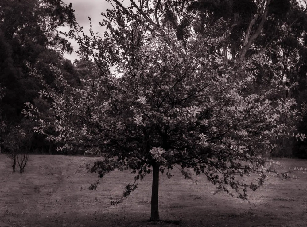 Documentary Project (6 of 7).jpg