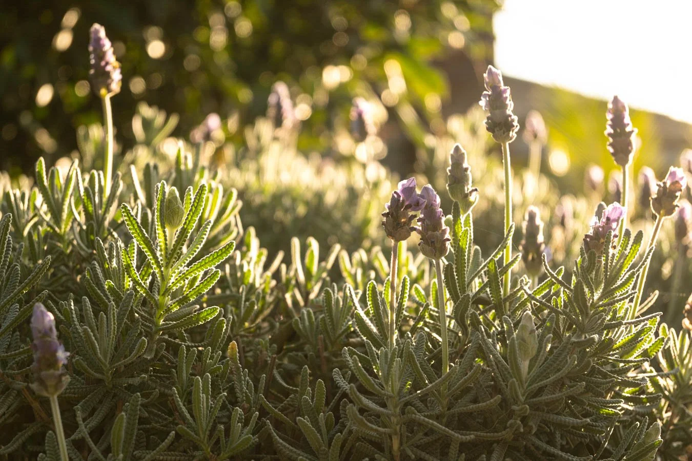 The Story so Far (1 of 2).jpg