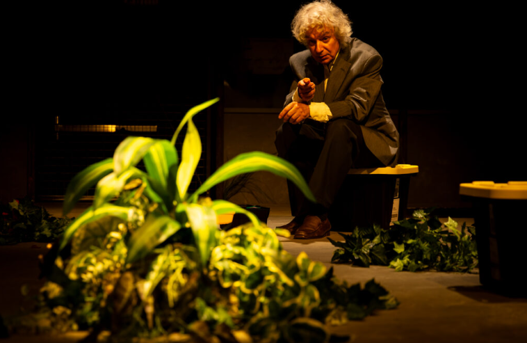 Capture d’écran 2026-01-27 142346.png