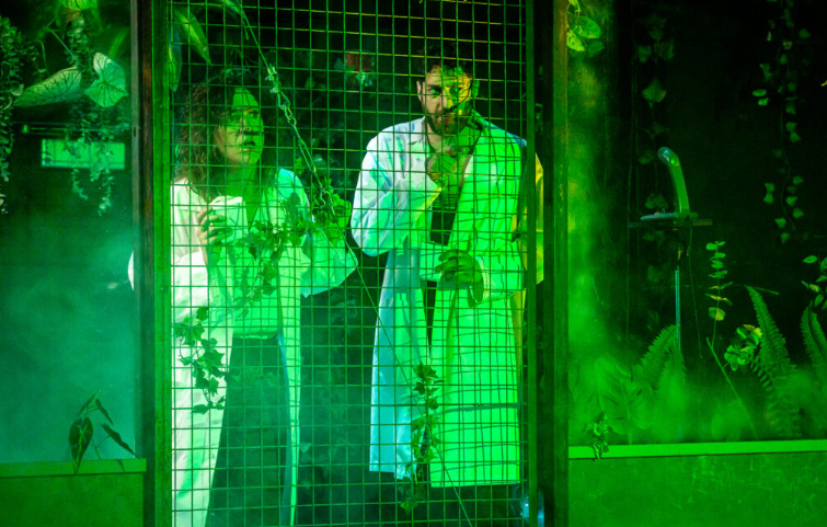 Capture d’écran 2026-01-27 142445.png