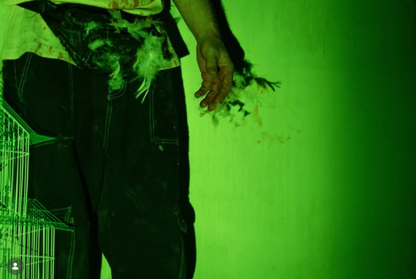 Capture d’écran 2026-01-28 164647.png