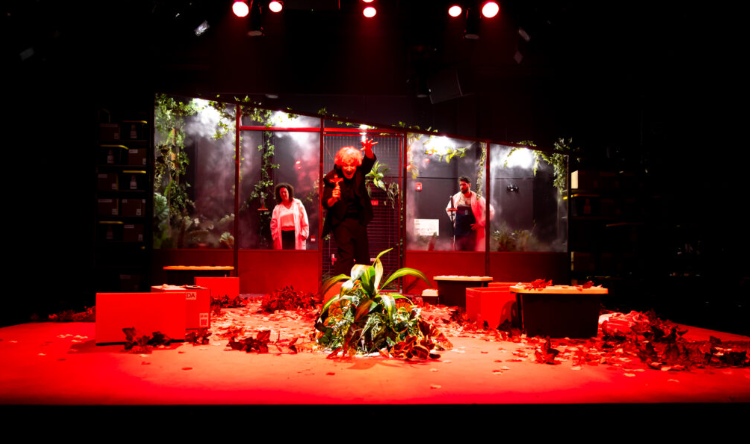 Capture d’écran 2026-01-27 142415.png