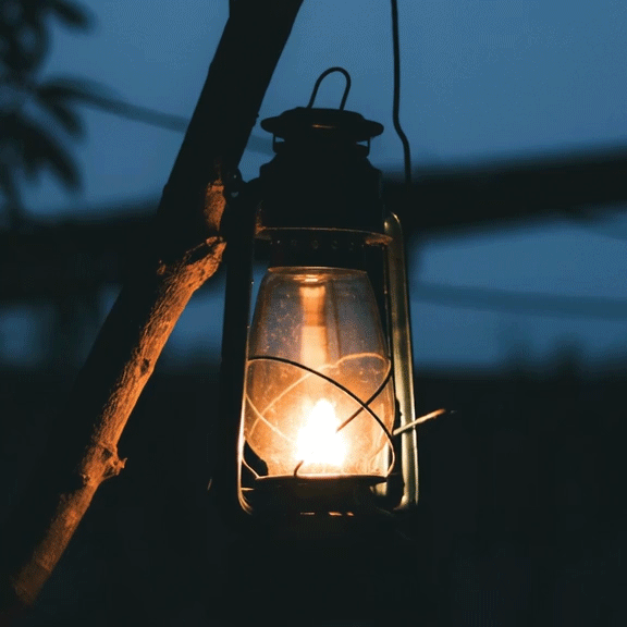 A lantern hanging from a branch, lit and glowing in a dark outdoor setting.