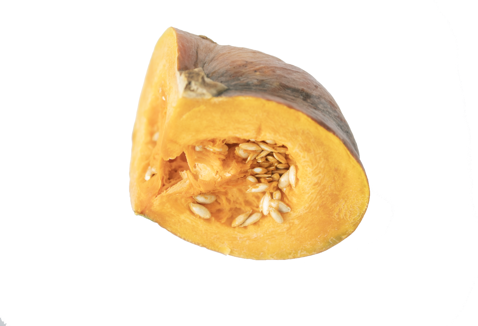 calabaza.png