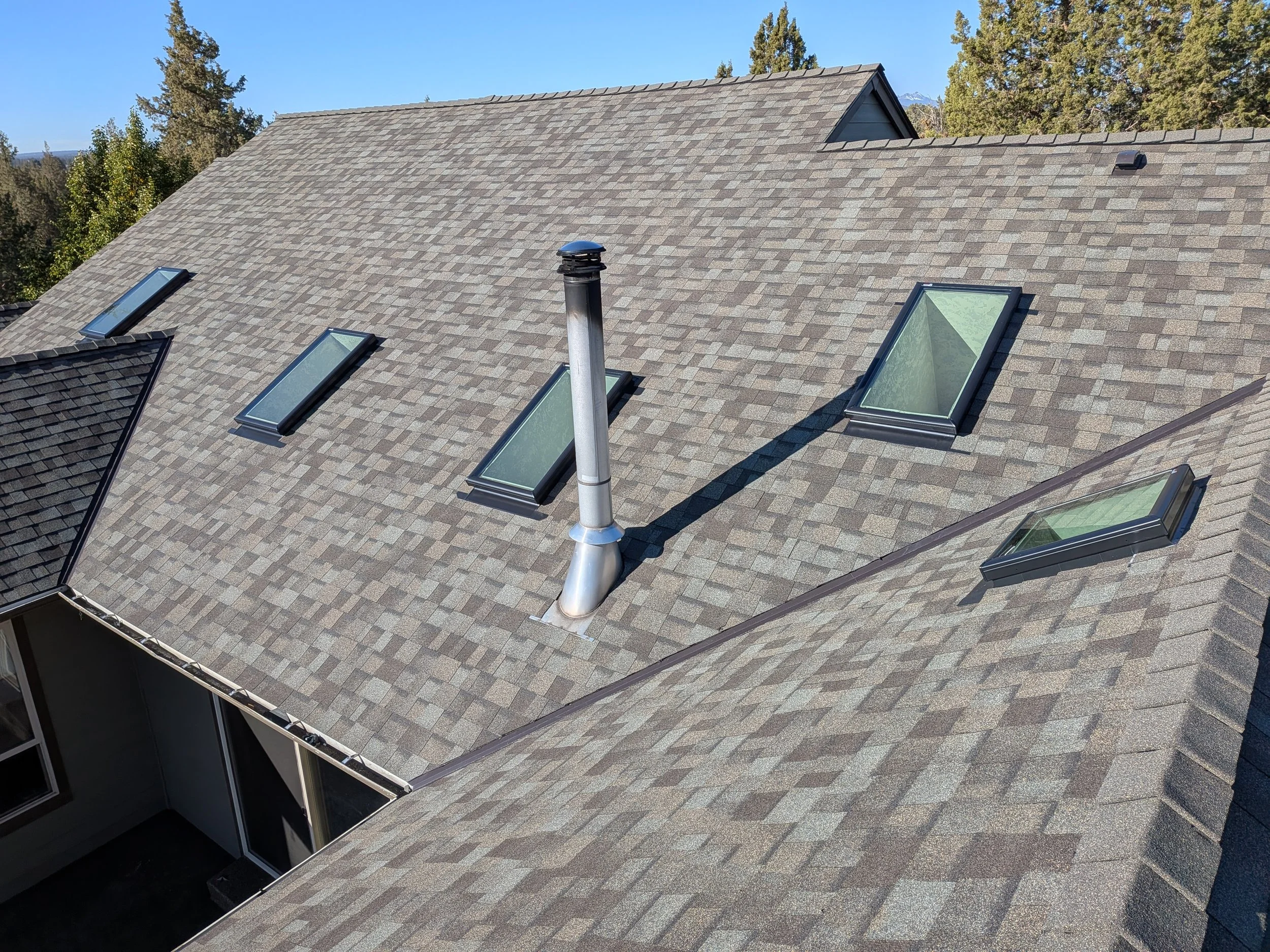 Residential asphalt-shingle roof with multiple skylights, a metal chimney vent, and evergreen trees in the background