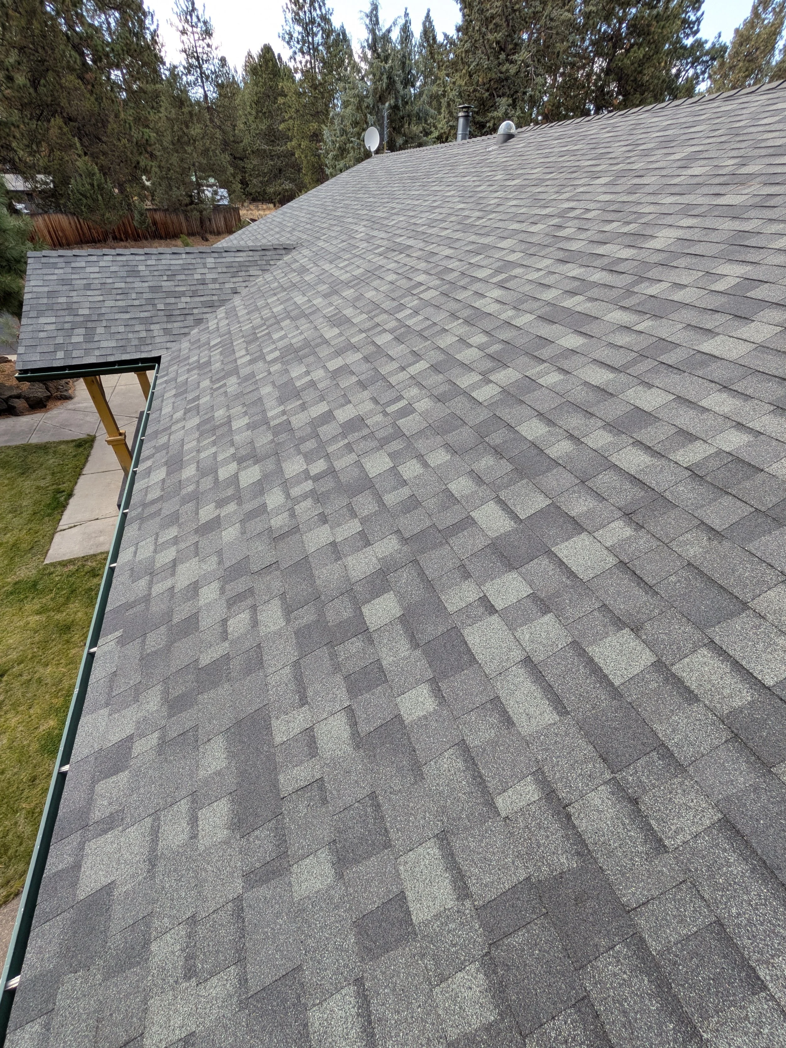Gray asphalt-shingle roof with chimney vents and satellite dish, surrounded by tall evergreen trees