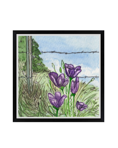 Background 12x12 Texas Bluebells frame canvas print.PNG