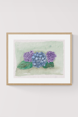 hydrangeas.PNG