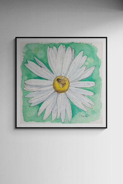 "White Daisy with Honey Bee" Framed Fine Art Paper Print