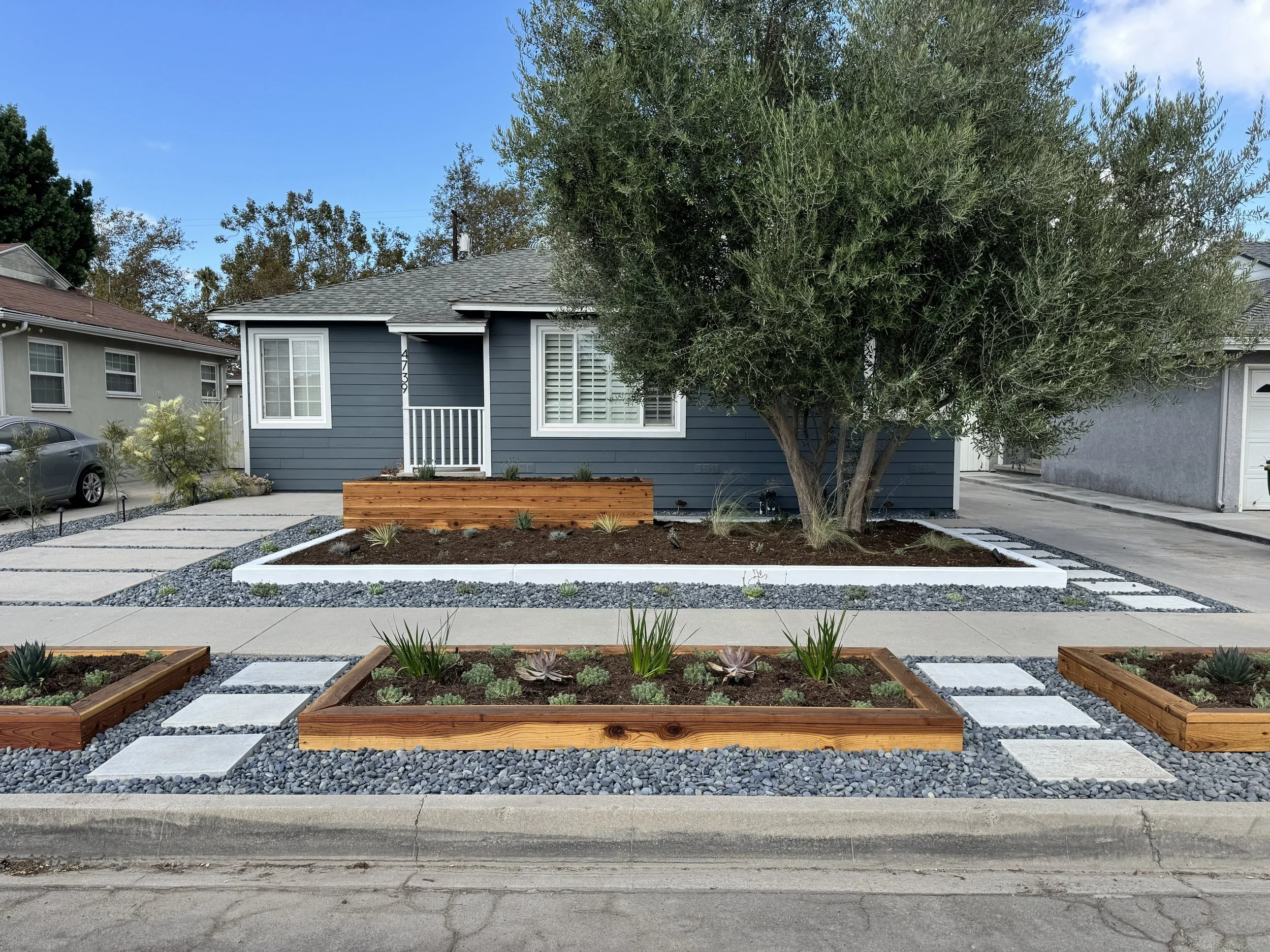 Long Beach Drought Tolerant Modern Landscape Design After Installation