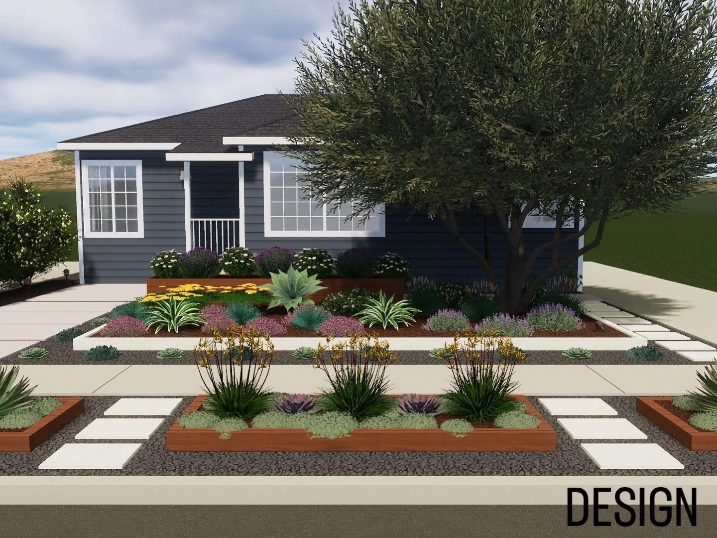 A modern residential front yard with a small blue house, white trim, and large windows. The landscaping features a large tree, succulents, and flowering native plants arranged in raised wooden beds. There are also paver paths in river rock  beds.