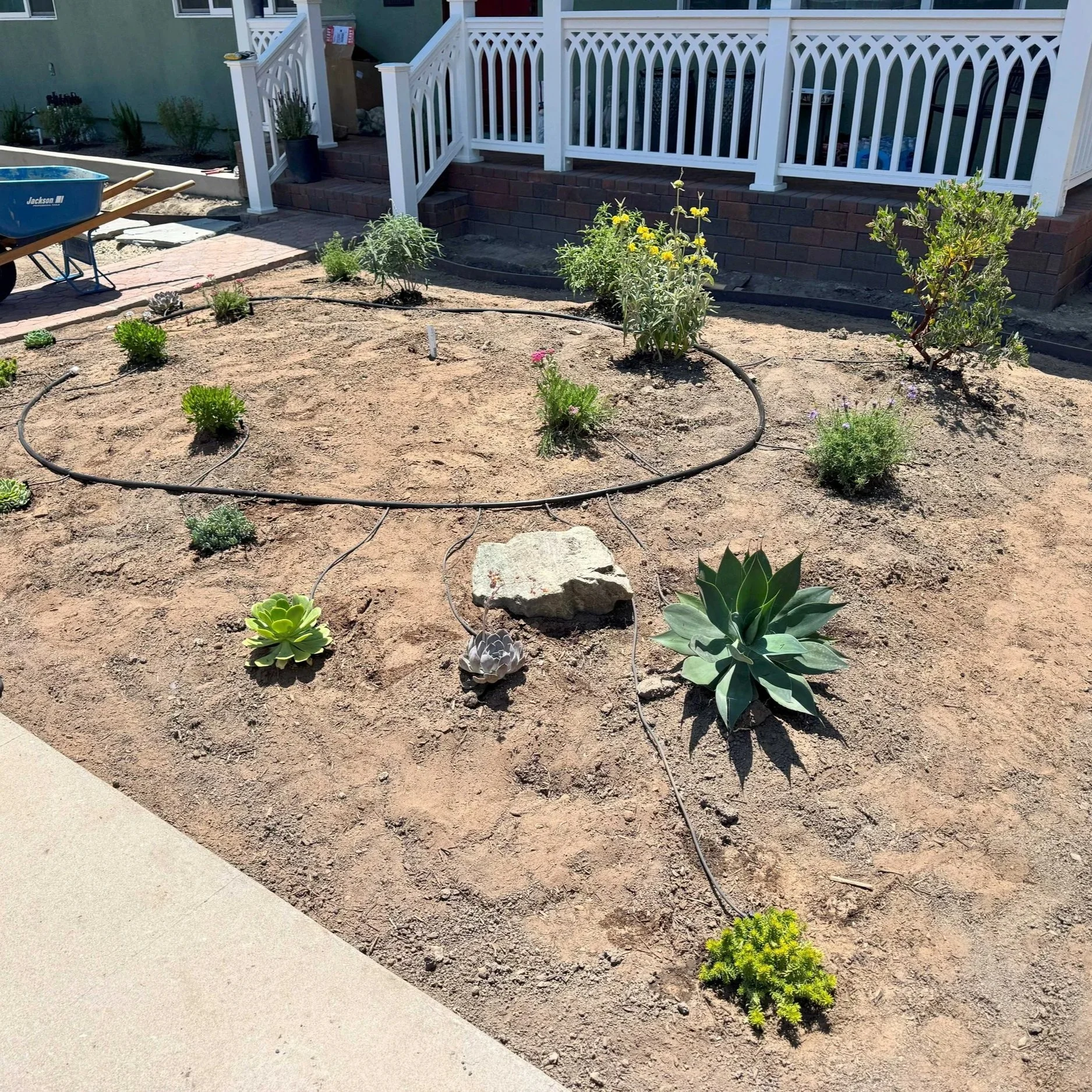A front yard garden before mulch has been added to showcase the drip irrigation system. The landscaping includes various succulents, other drought-tolerant plants, and a white porch railing and brick stairs in the background.