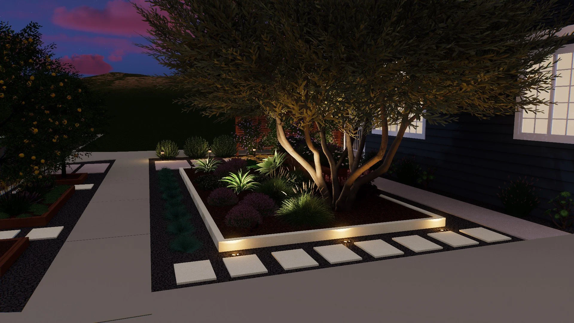 Olive tree and front yard planting lit with modern landscape lighting