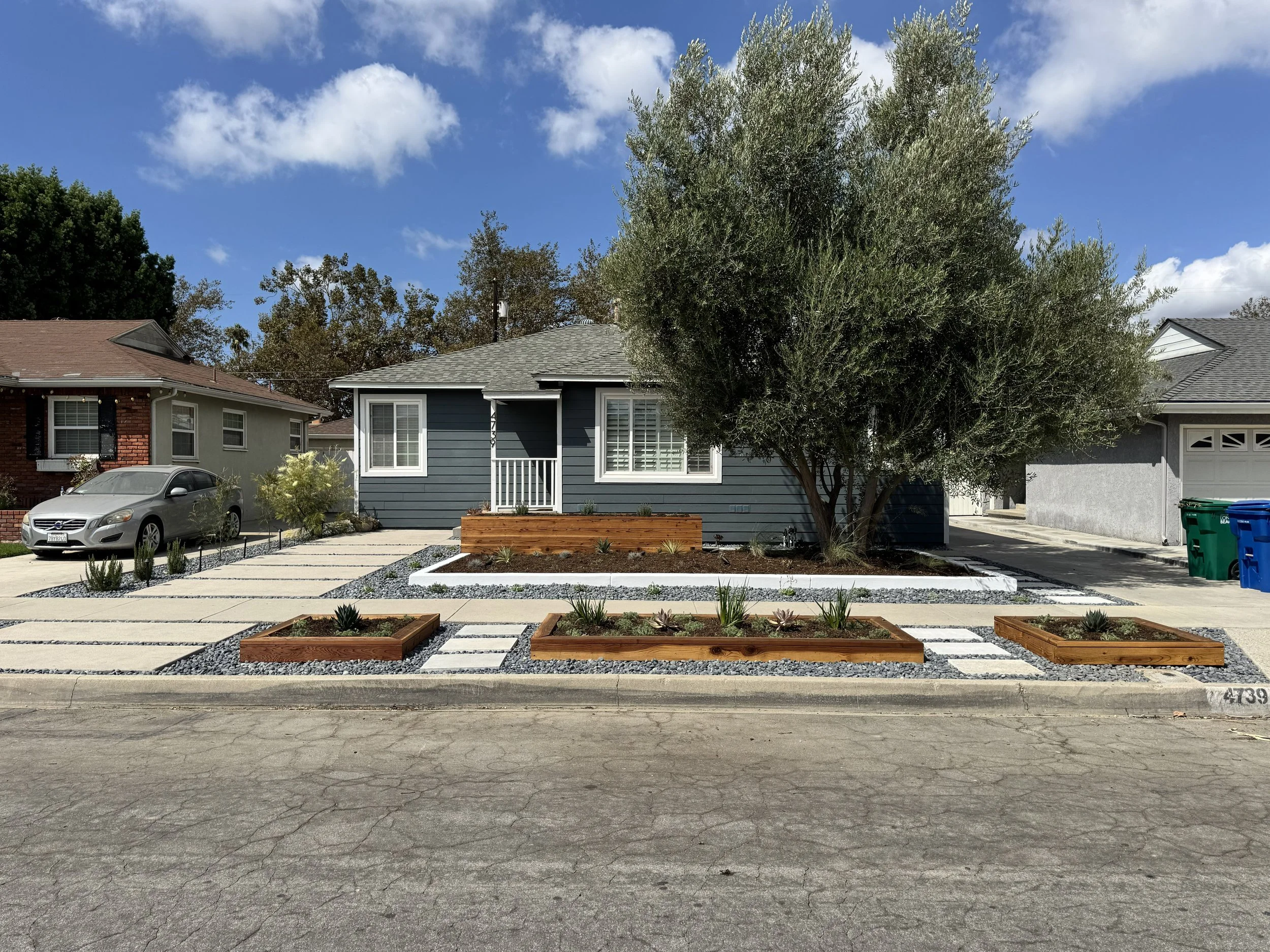 Long Beach modern design for front yard landscaping 