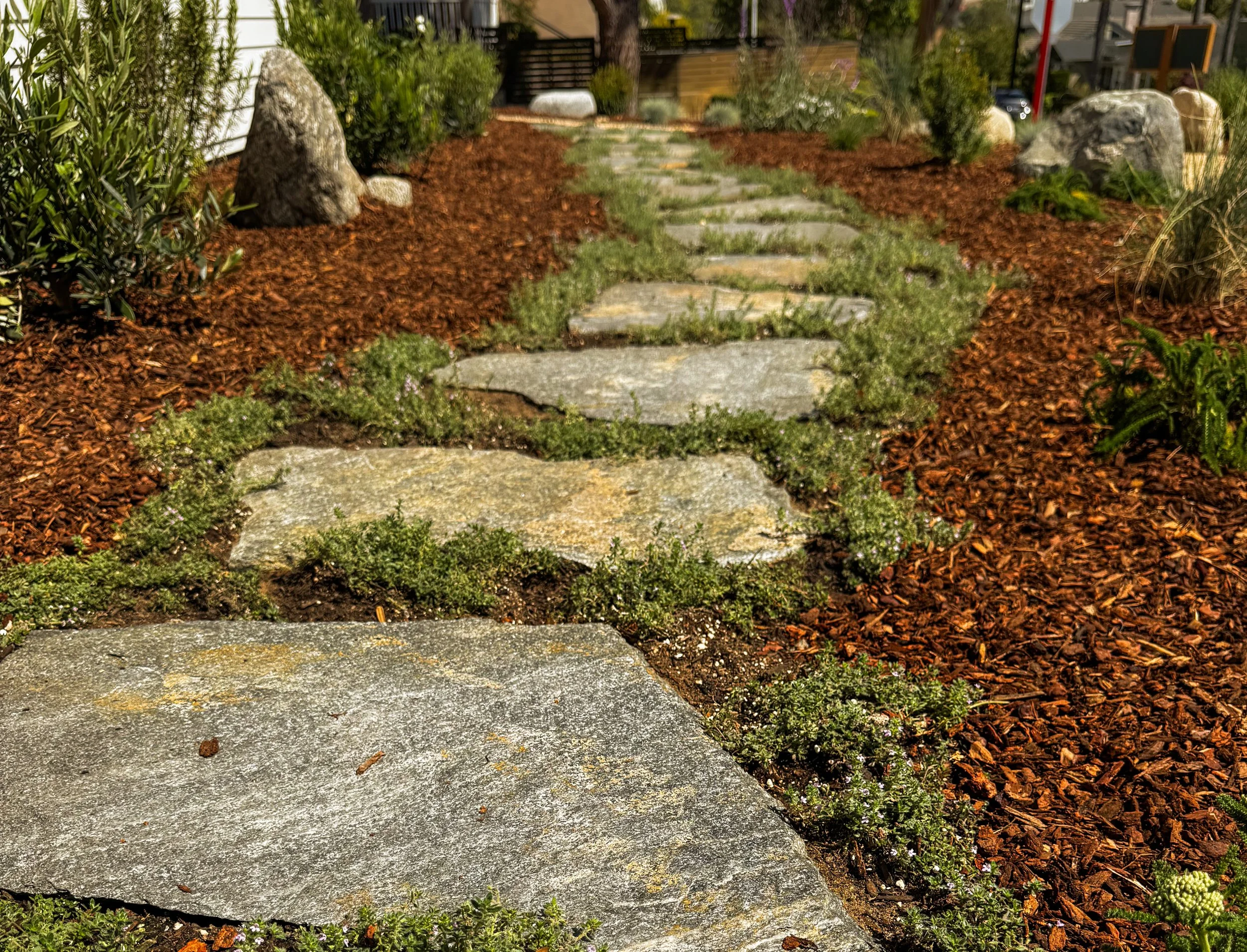 El Segundo Landscaping Transformation Front Yard Landscape Design