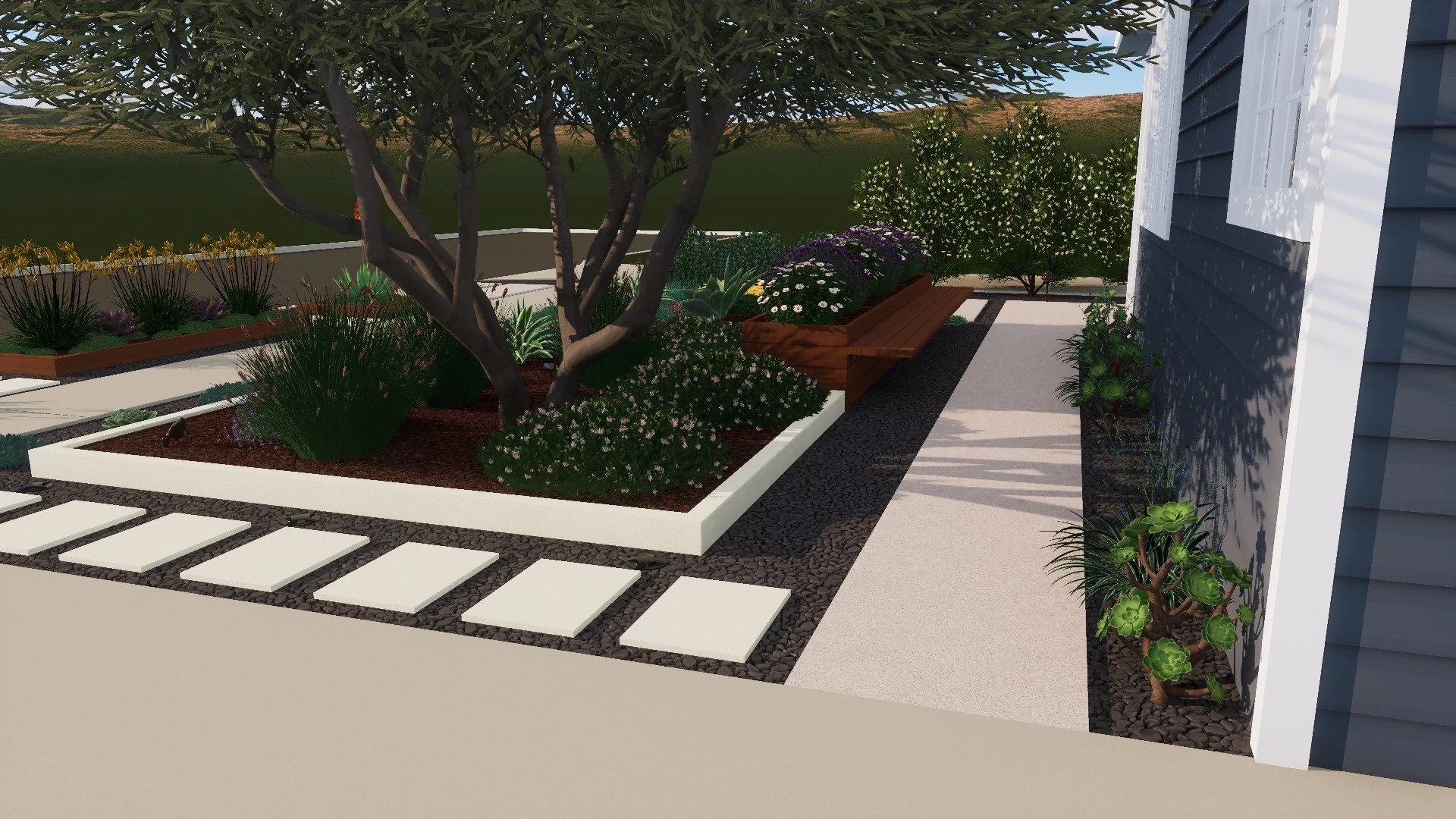 Side view of modern front yard design with layered California native plants and dark gravel mulch
