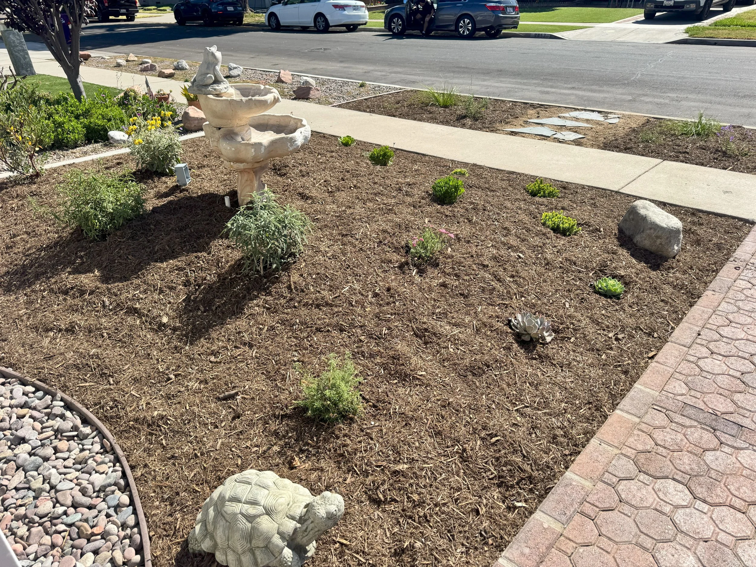 Patterson After 3.jpg