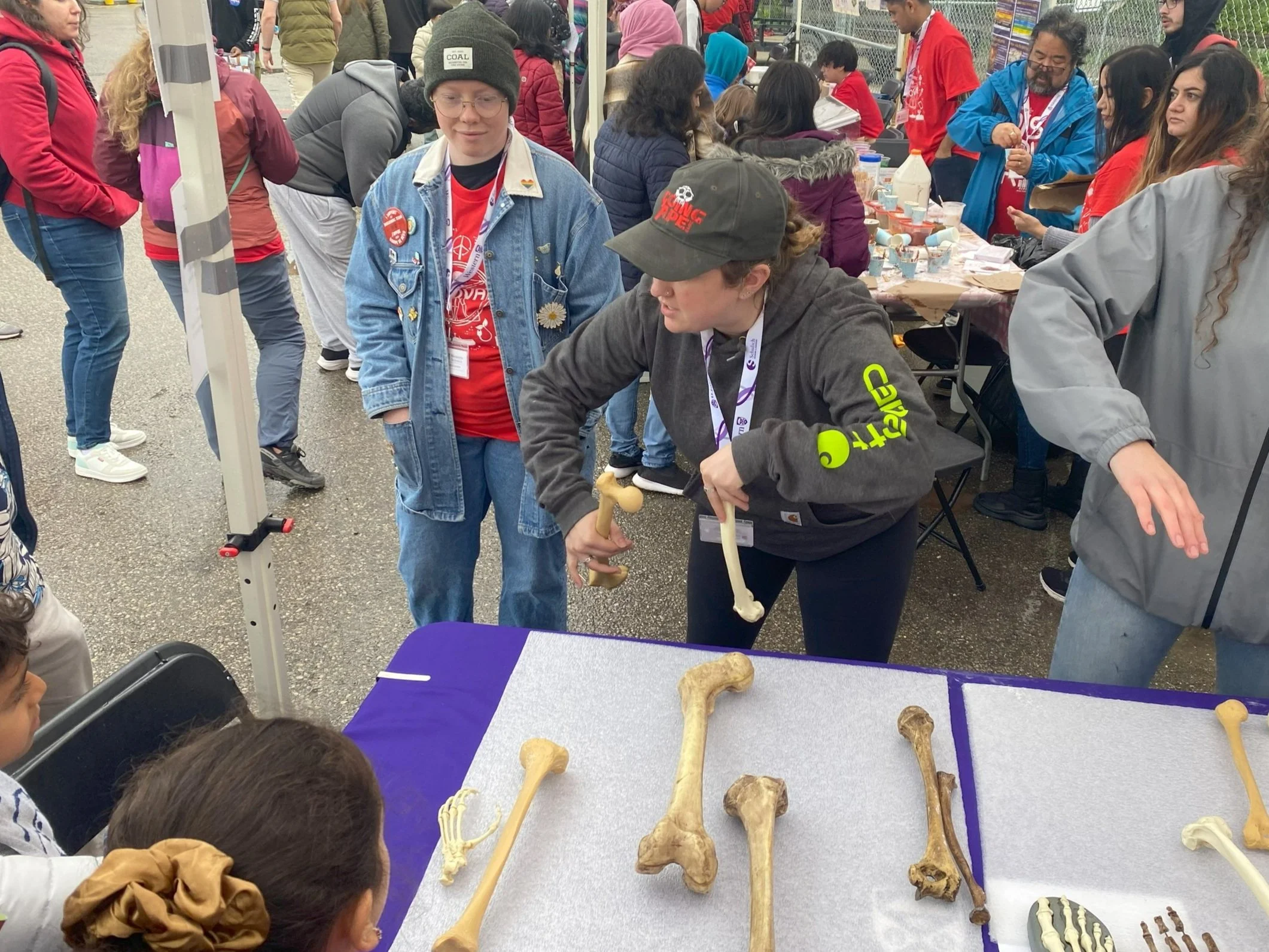 Teaching kids about the evolution using different femurs from hominin and ape species at Science Rendezvous 2024