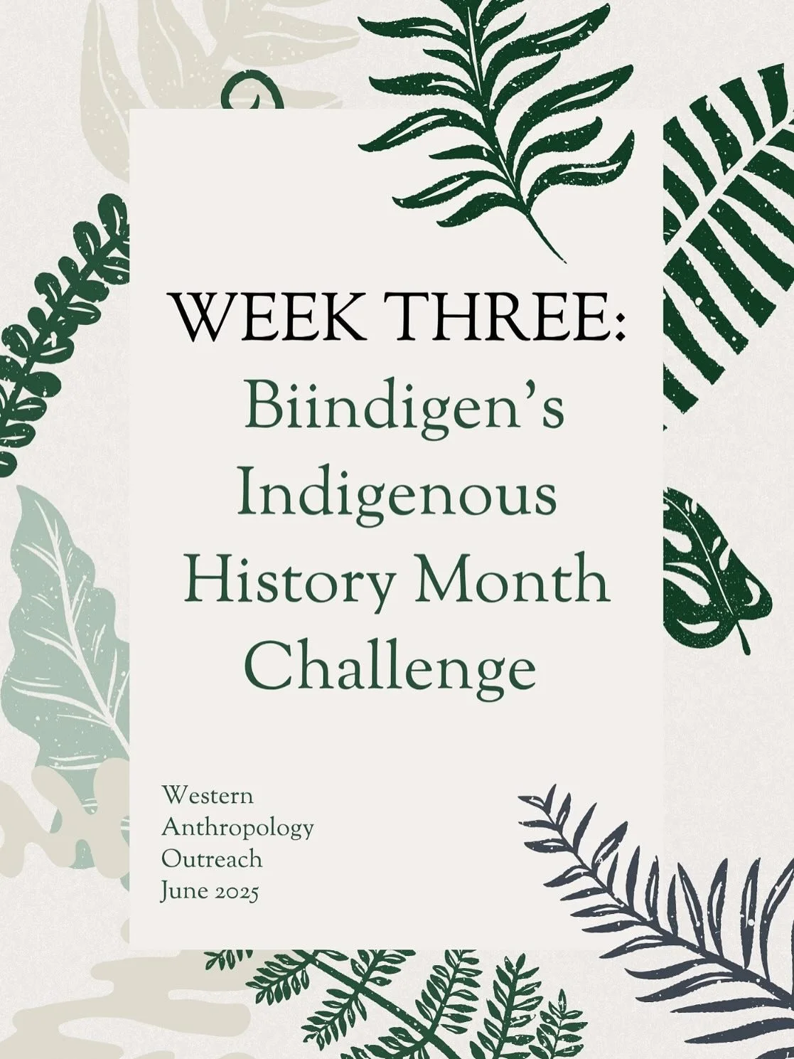 Week 3 Completed ✅

#biindigenchallenge #indigenoushistorymonth