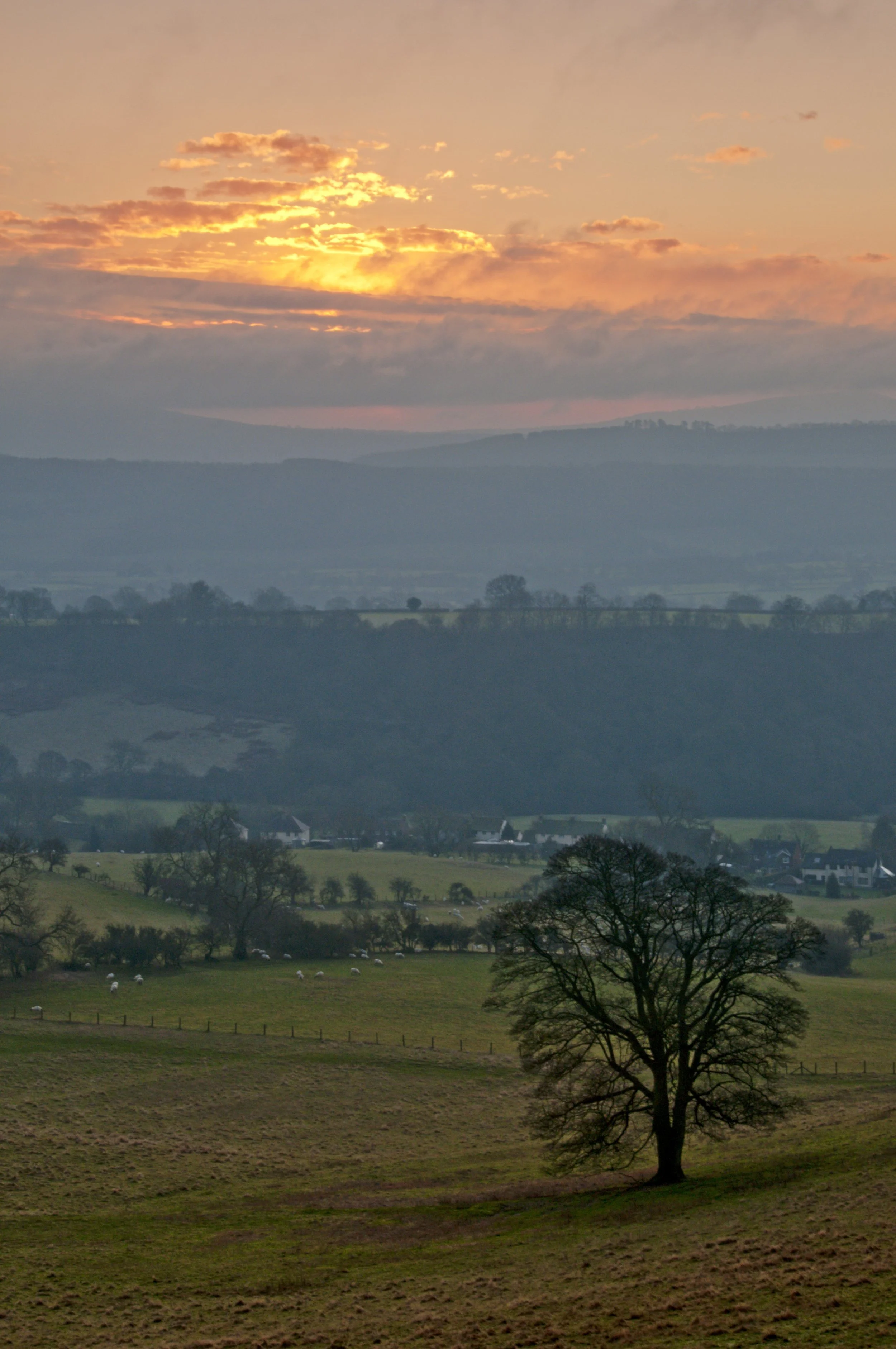 091218_LongMynd_Stiperstones_.jpg