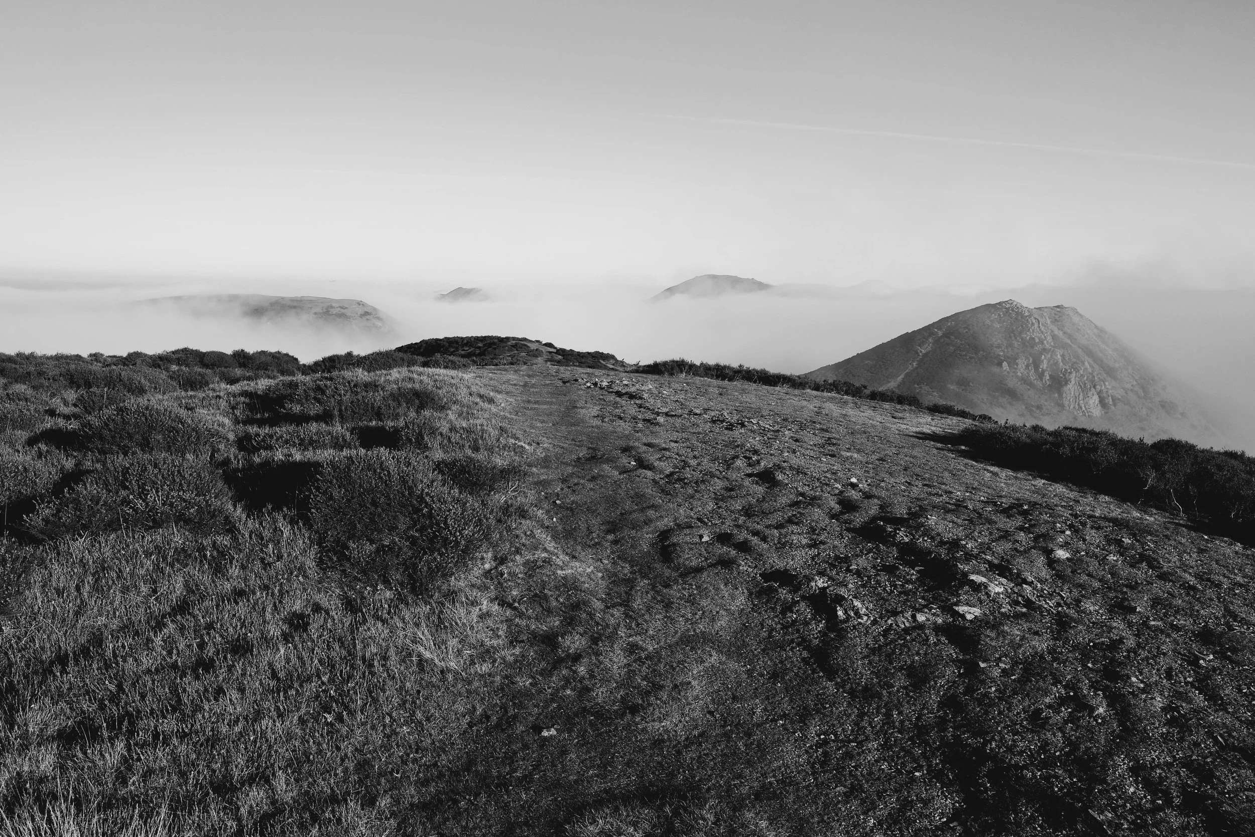 221201_LongMynd_.jpg