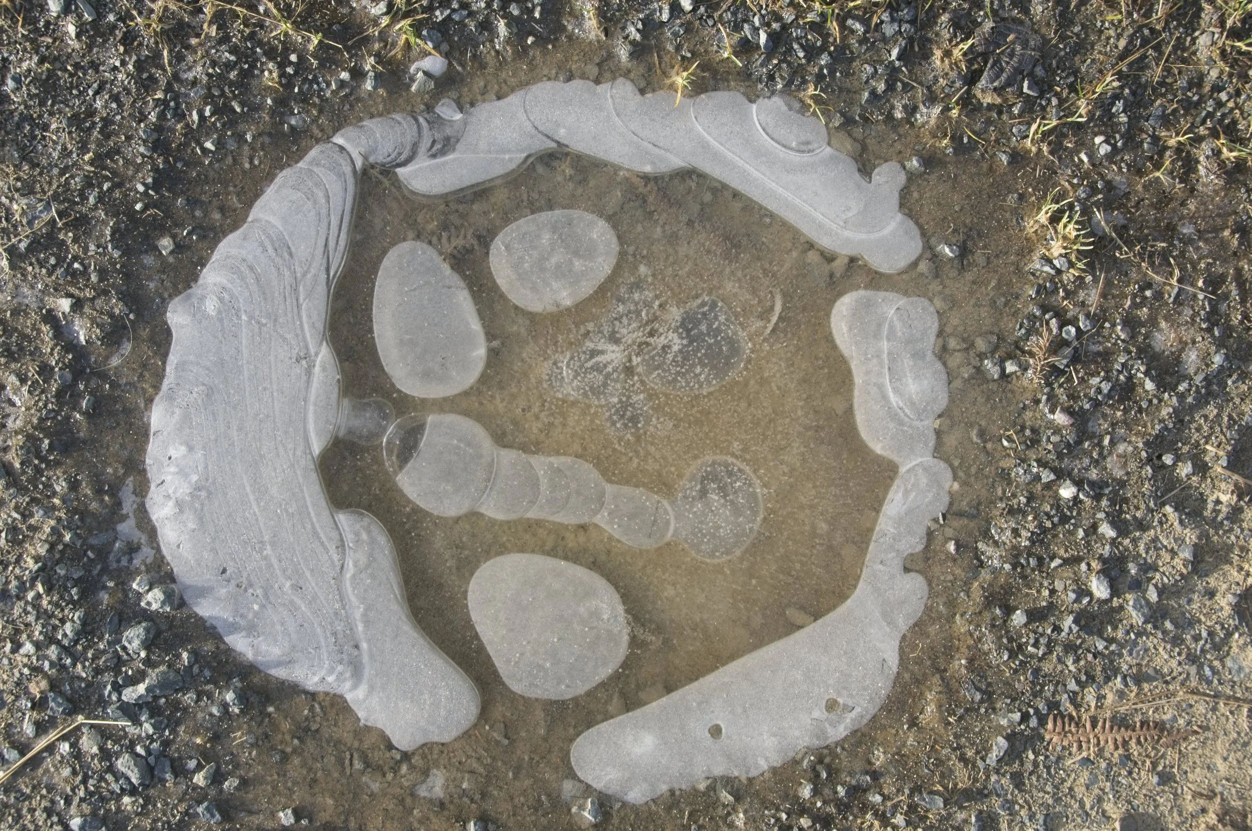 091218_LongMynd_Stiperstones_1072.jpg