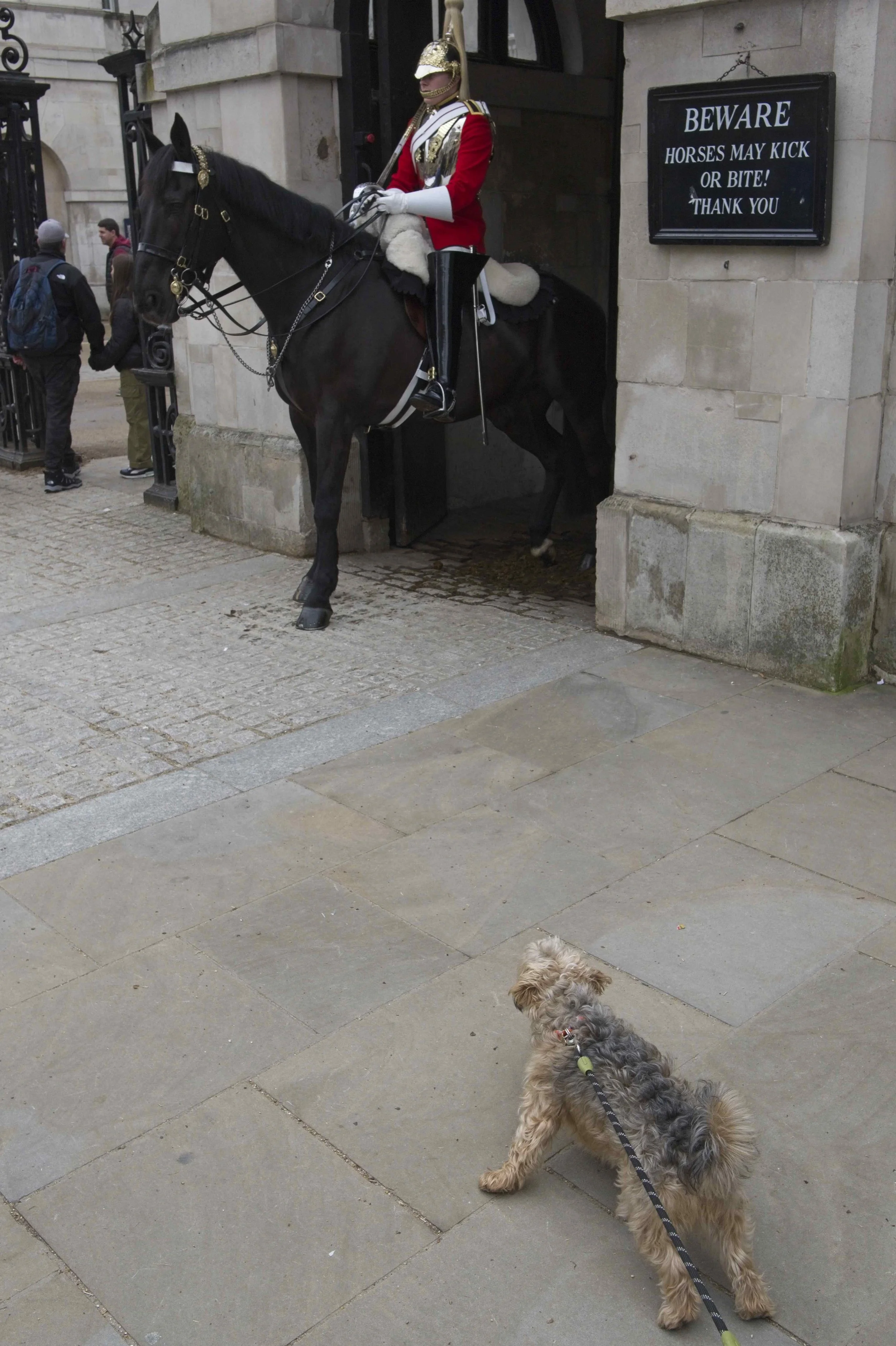 230401_WkshopLondonBLDuckett_9213.jpg