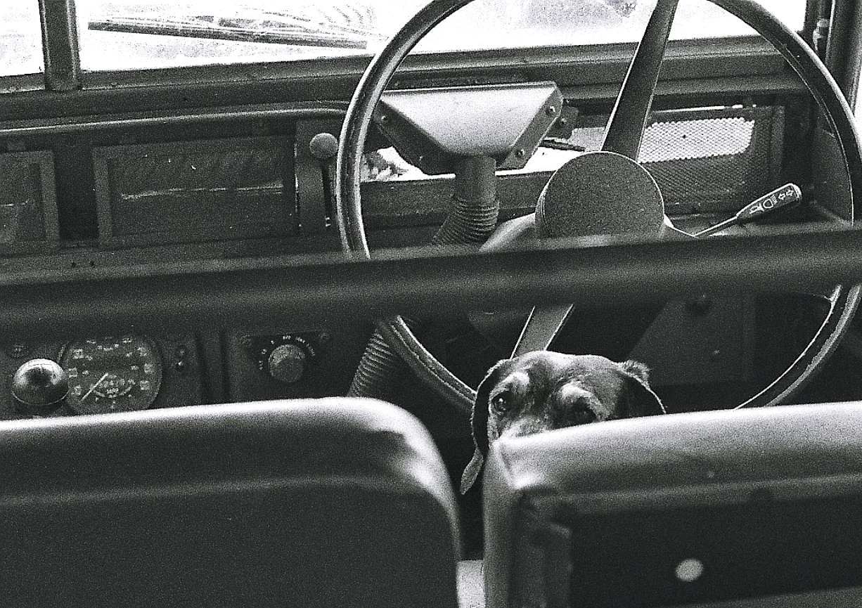 FordenVintage_0012.jpg