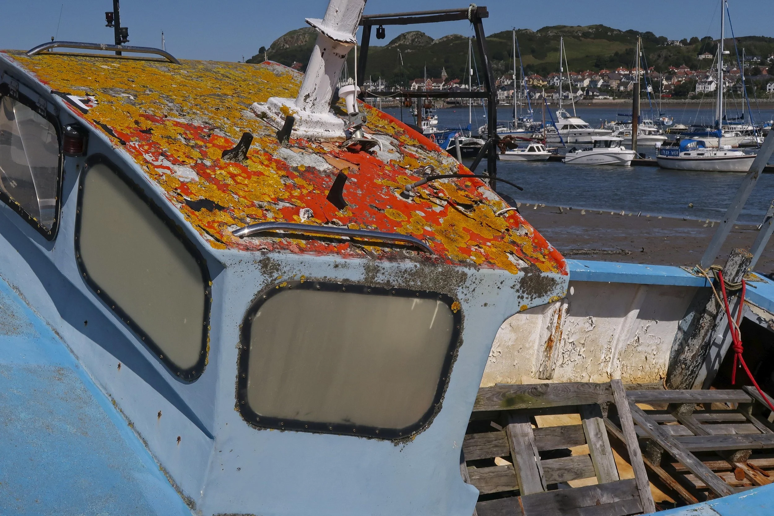 230905_Conwy_2580.jpg
