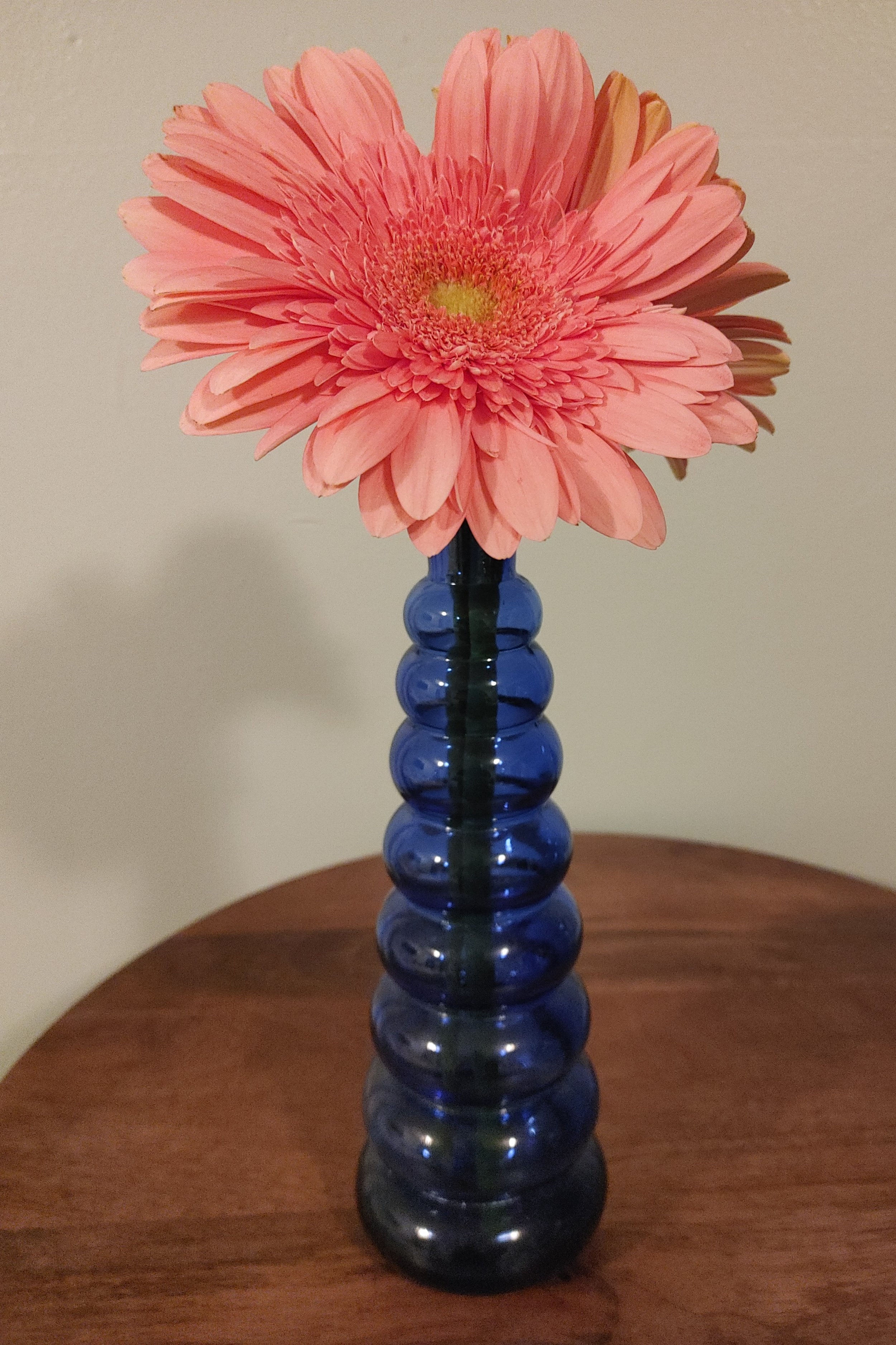 0423252142b.jpg